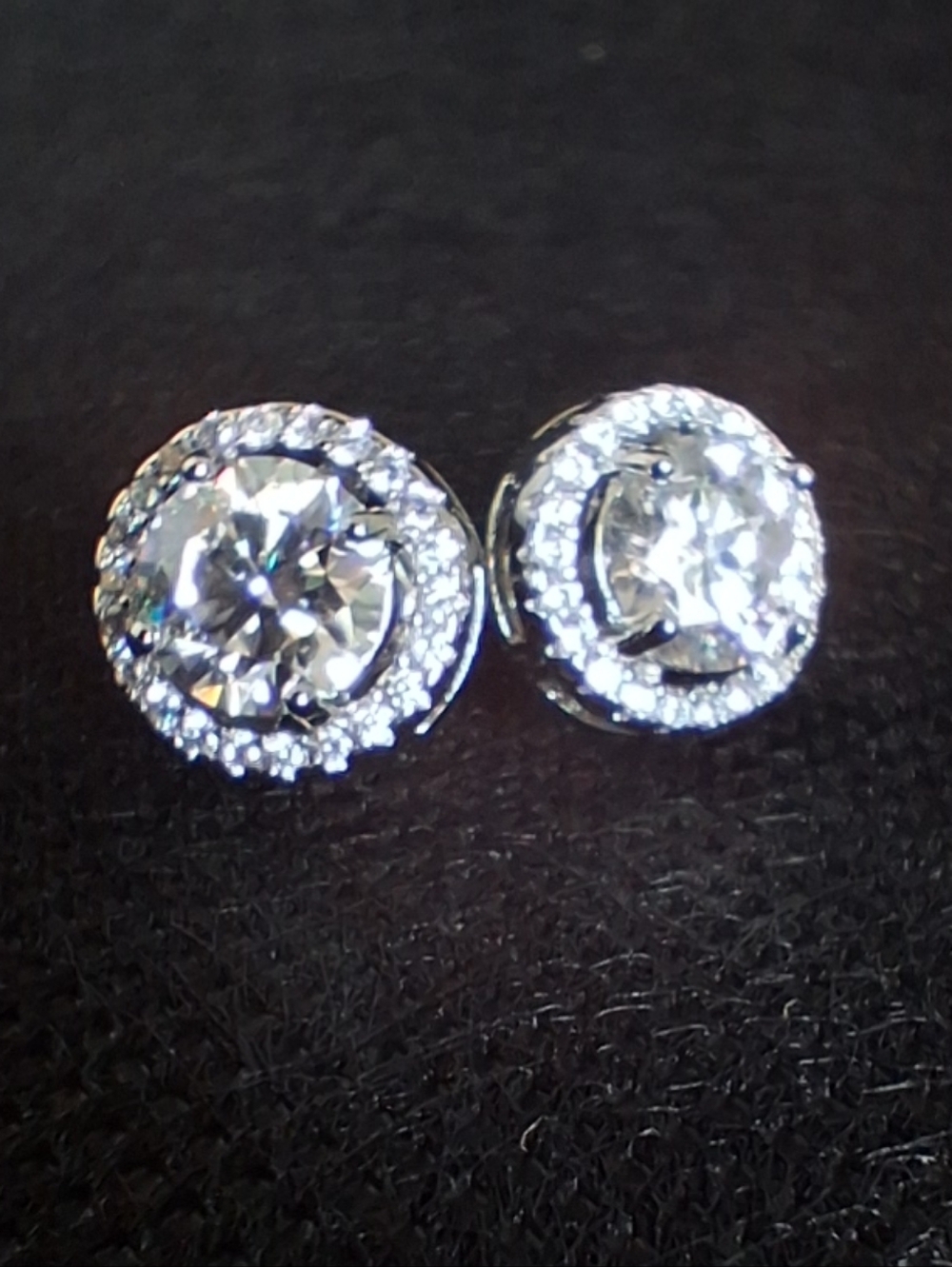 Classic Moissanite Halo Stud Pushback Earrings with GRA